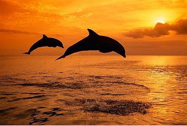 《人中之龙０ 誓约的场所 导演剪辑版》全新争锋 线上对决模式介绍